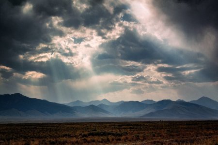 Sunbeams over a field